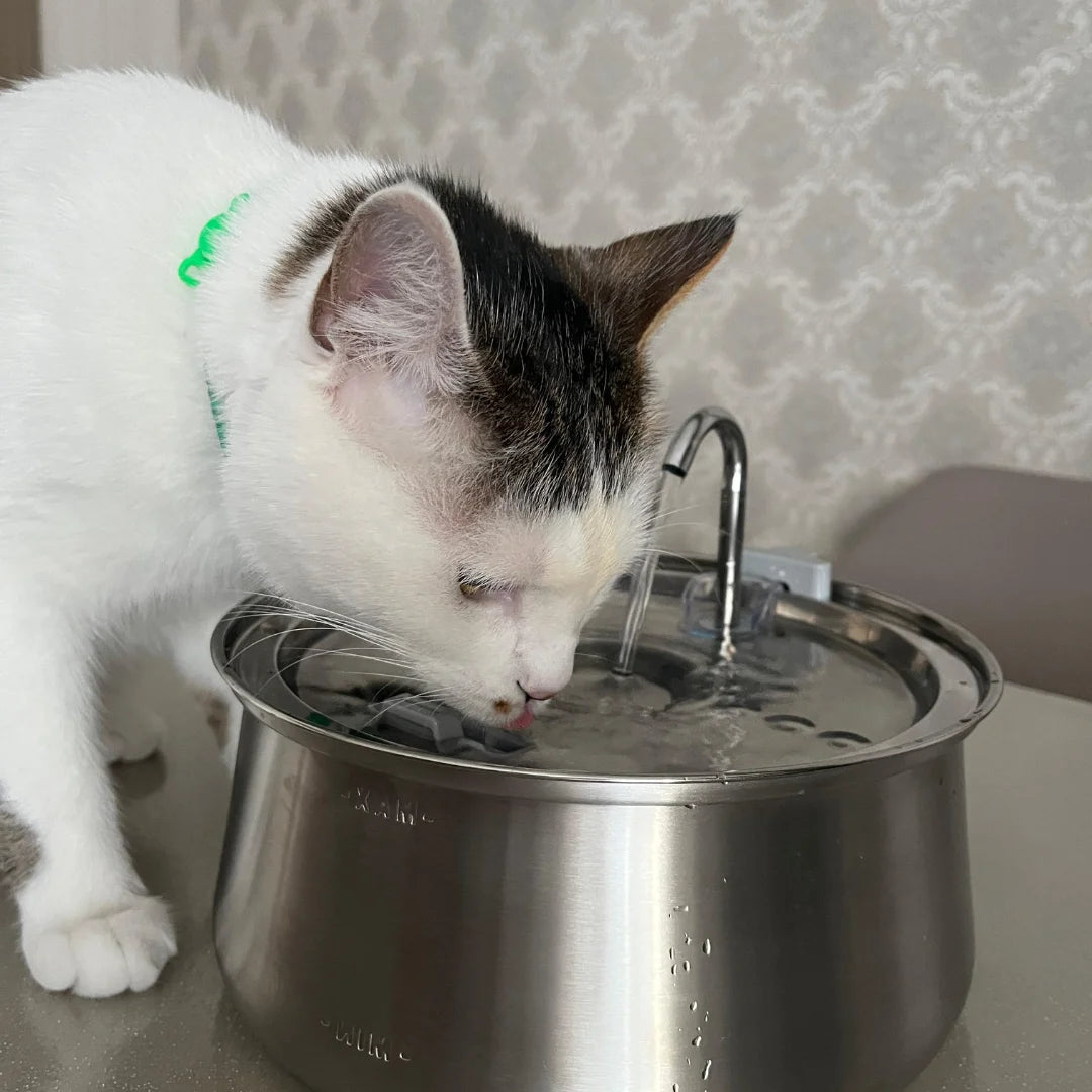 Catrevi™ Su Pınarı