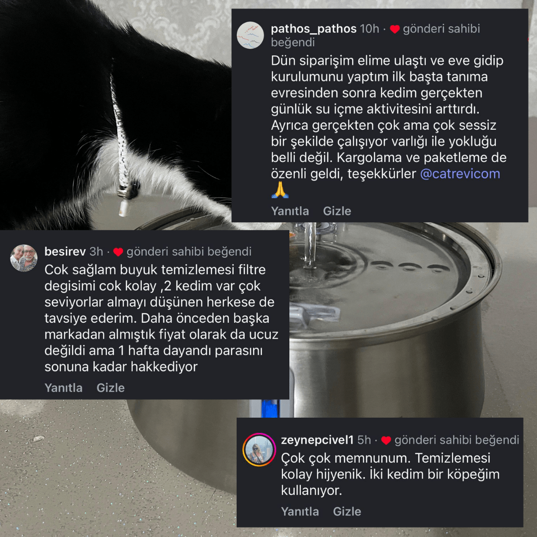 Catrevi™ Su Pınarı