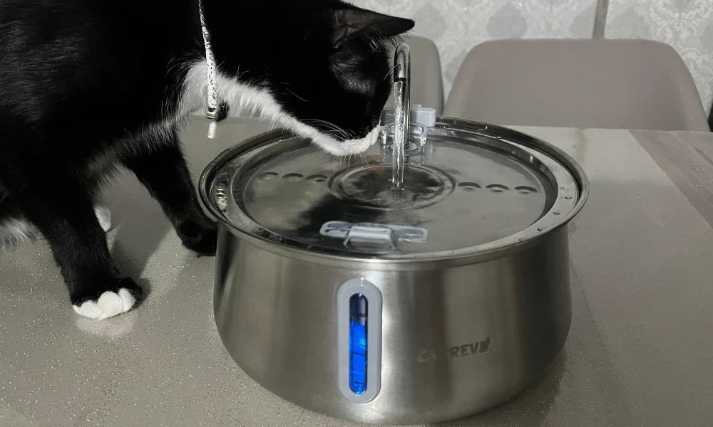 Catrevi markalı paslanmaz çelik su pınarından su içen siyah kedi