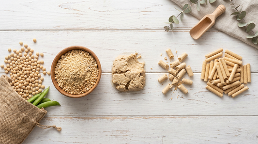 Beyaz ahşap zeminde sırasıyla soya fasulyesi, ezilmiş soya, hamur ve silindir formunda tofu kedi kumu peletleri