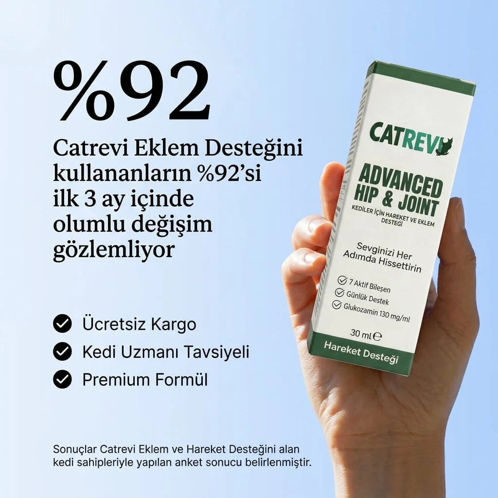 Catrevi Eklem ve Hareket Desteği