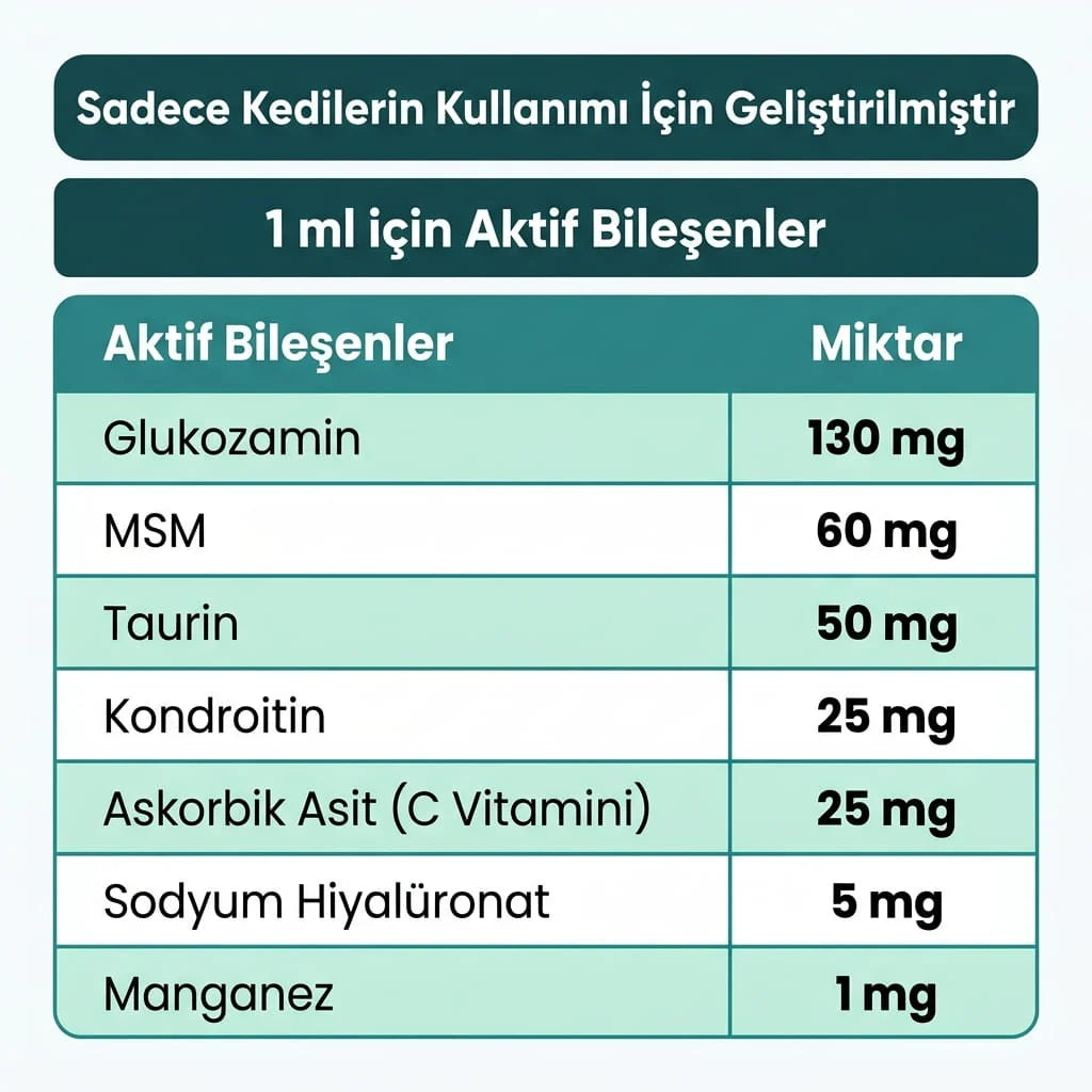 Catrevi Eklem ve Hareket Desteği