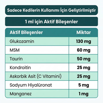 Catrevi Eklem ve Hareket Desteği