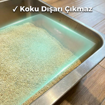 Catrevi Bitkisel Kedi Kumu