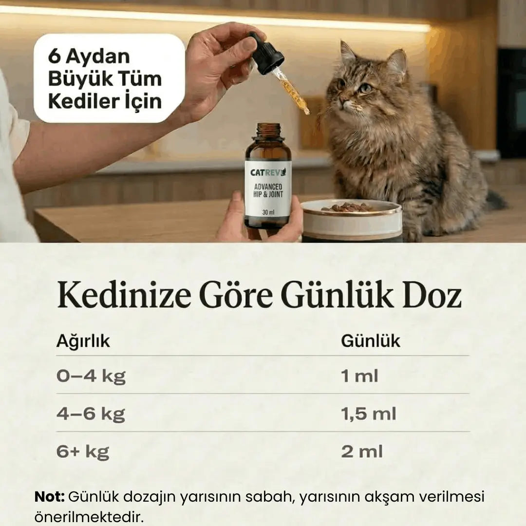 Catrevi Eklem ve Hareket Desteği