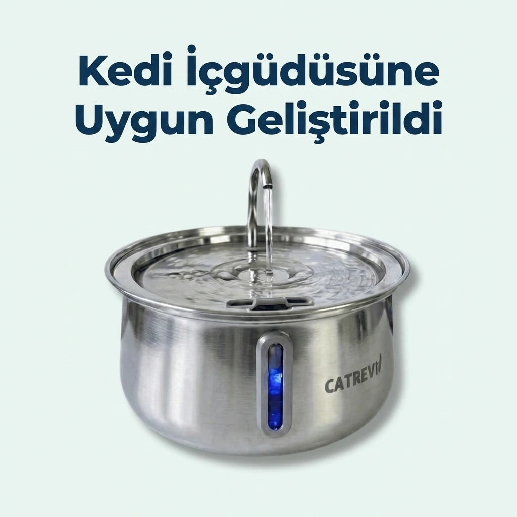 Catrevi Su Pınarı