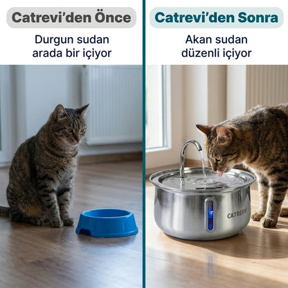 Catrevi Su Pınarı