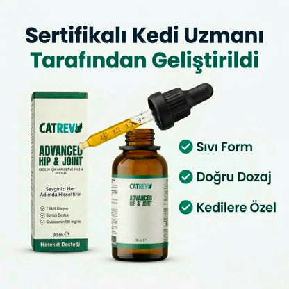 Catrevi Eklem ve Hareket Desteği