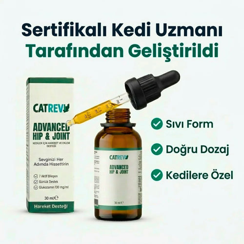 Catrevi Eklem ve Hareket Desteği