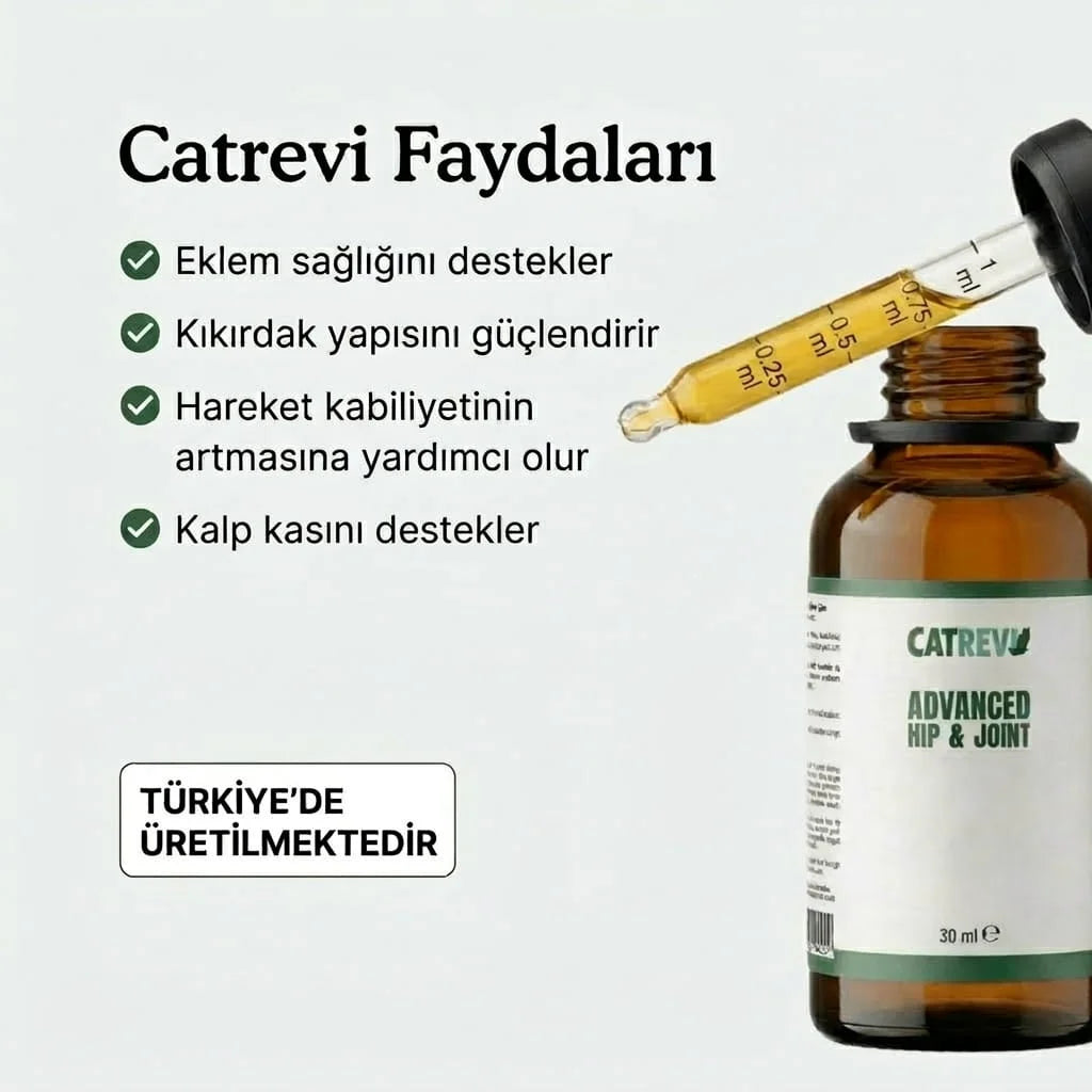 Catrevi Eklem ve Hareket Desteği